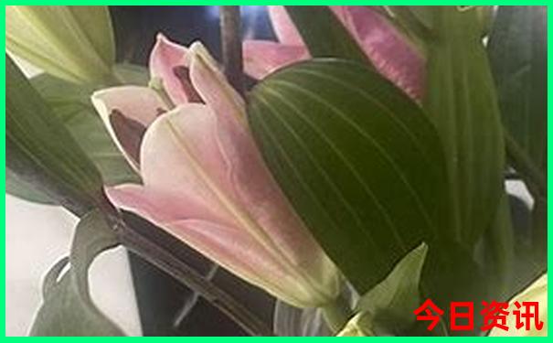 7月去哪里玩比较凉快